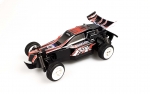 RC Auto Rayline Mini Blast R24A